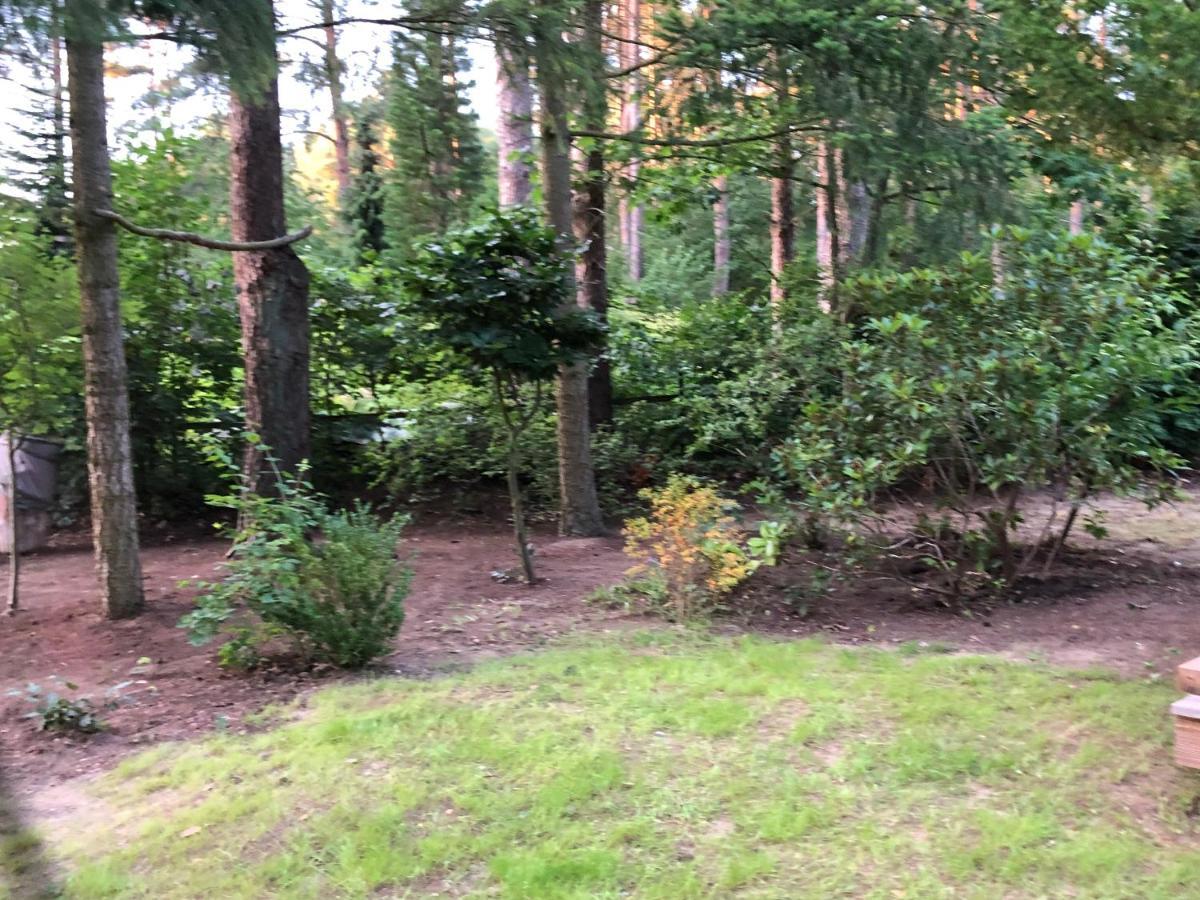 Ferienhaus Reetdach 1300Qm Privatgrundstueck Bootssteg Sauna Templin Luebbesee Uckermark Erholung Pur Seenplatte Petersdorf  Εξωτερικό φωτογραφία