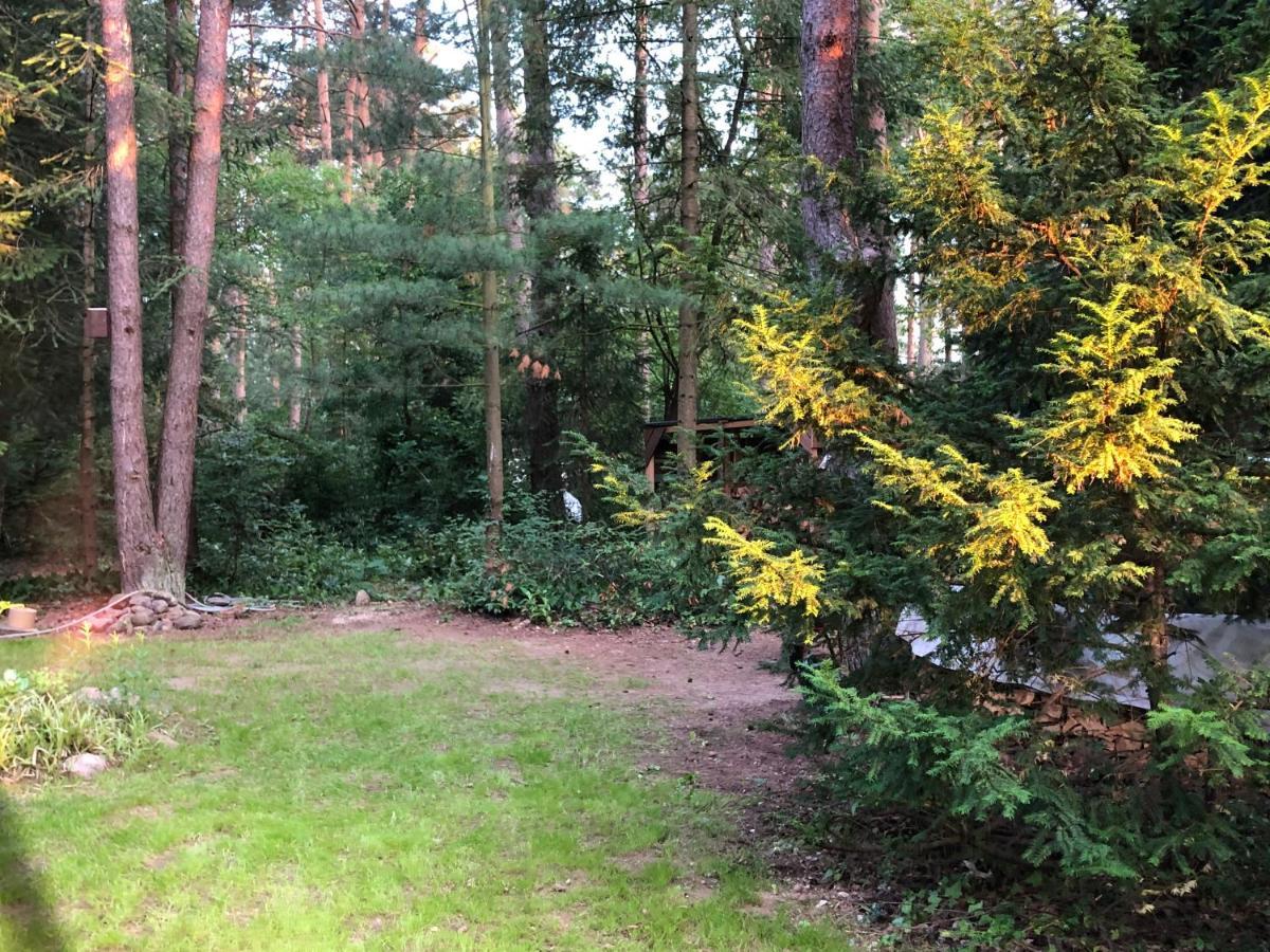 Ferienhaus Reetdach 1300Qm Privatgrundstueck Bootssteg Sauna Templin Luebbesee Uckermark Erholung Pur Seenplatte Petersdorf  Εξωτερικό φωτογραφία